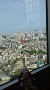 rps20160519_112947