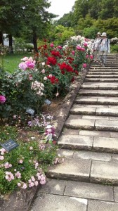 rps20160527_155315